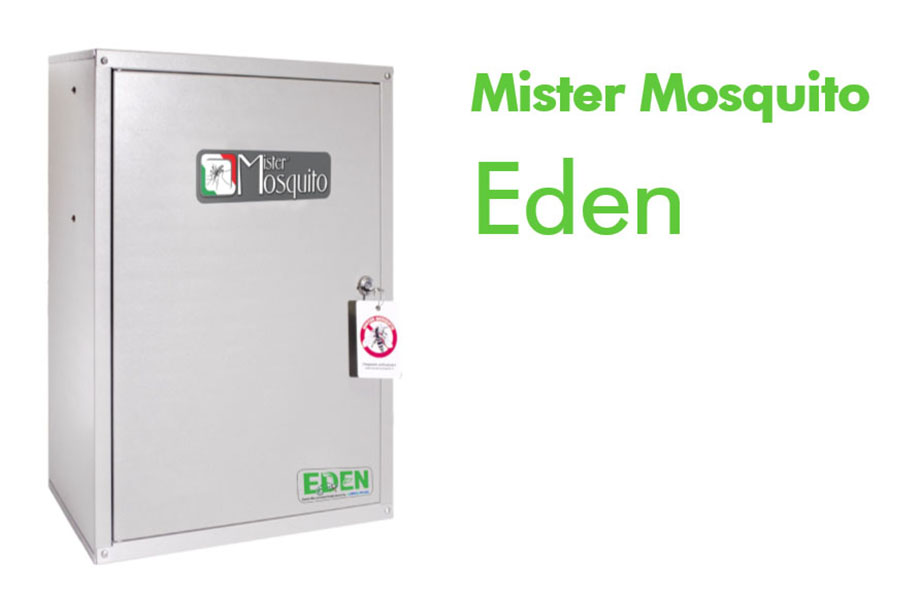 Mister Mosquito Eden